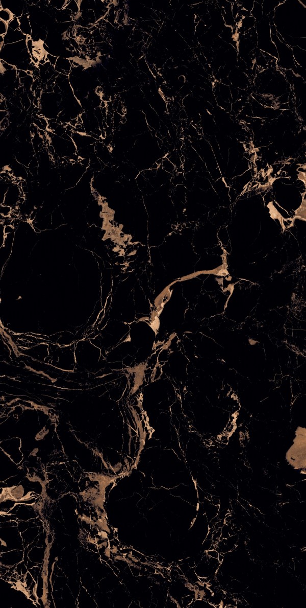 Panter_Brown_Panther-R4